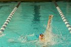 Swimming vs Bentley  Wheaton College Swimming & Diving vs Bentley College. - Photo by Keith Nordstrom : Wheaton, Swimming & Diving